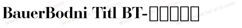 BauerBodni Titl BT字体转换